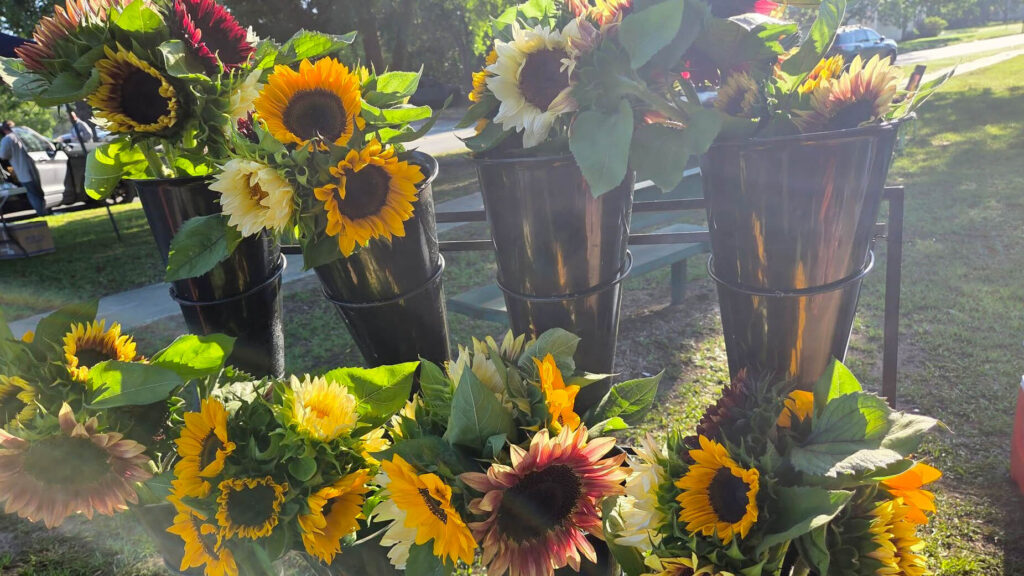 Flowers at the Farmer's Market